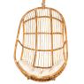 Rattan swing chair